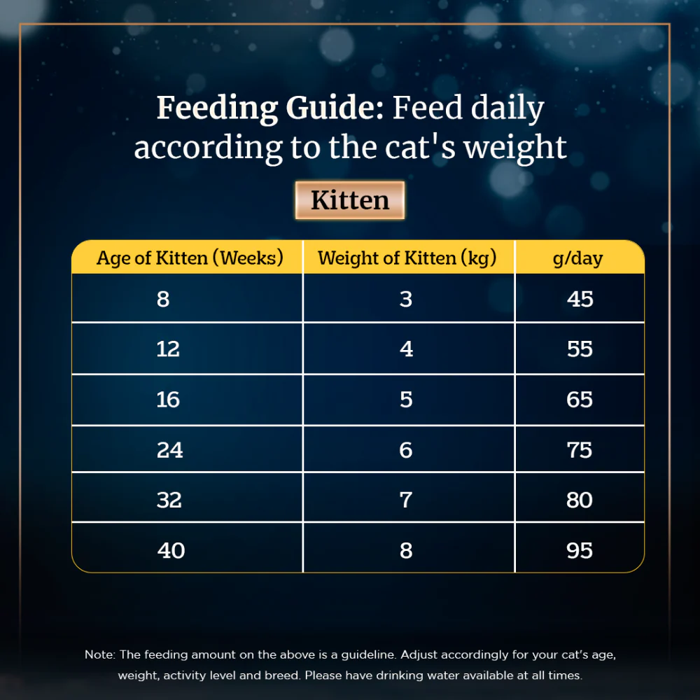 Sheba Complete Nutrition Tuna White Meat & Snapper In Gravy Cat Wet Food and Salmon Flavour Irresistible Cat Dry Food Combo - Image 10