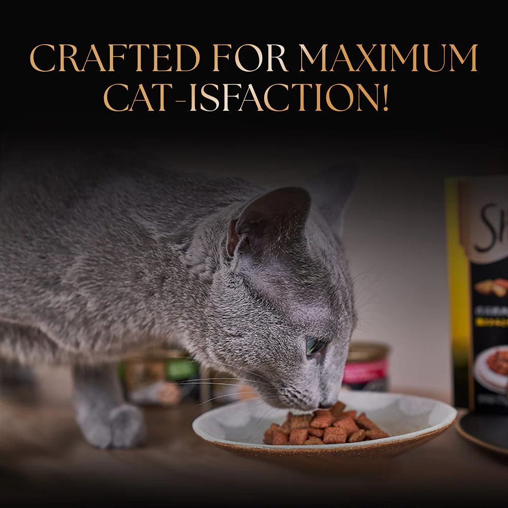 Sheba Duo Tuna & Chicken, Salmon & Tuna, Chicken & Salmon Crunchy Adult Cat Treats - Image 11