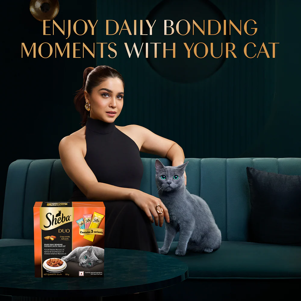 Sheba Duo Tuna & Chicken, Salmon & Tuna, Chicken & Salmon Crunchy Adult Cat Treats - Image 13