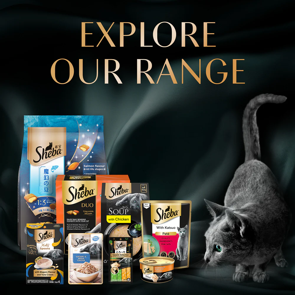 Sheba Duo Tuna & Chicken, Salmon & Tuna, Chicken & Salmon Crunchy Adult Cat Treats - Image 15