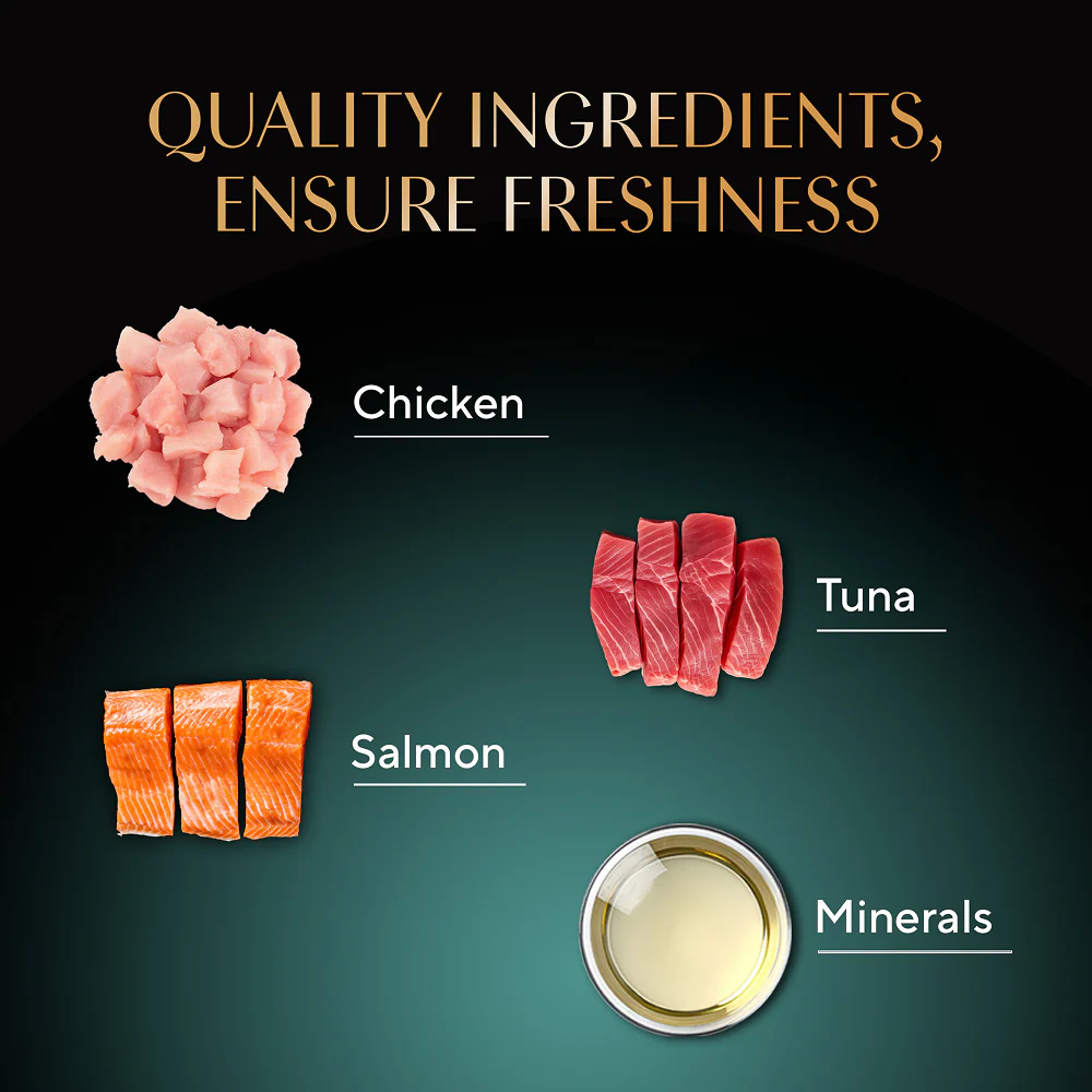 Sheba Duo Tuna & Chicken, Salmon & Tuna, Chicken & Salmon Crunchy Adult Cat Treats - Image 3