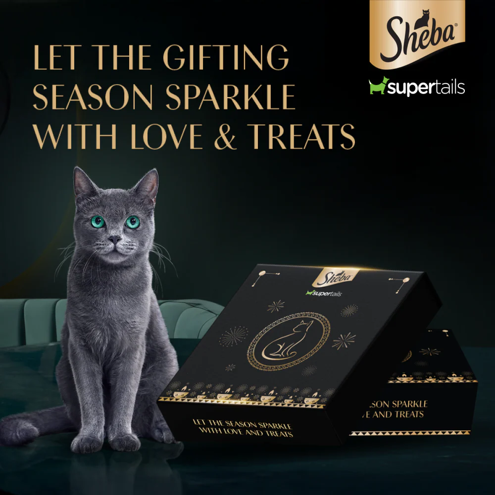 Sheba Trial Box | Limited Edition Starter Hamper for Cats - Image 2