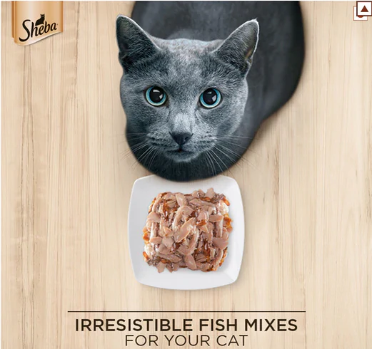 Sheba Fish with Dry Bonito Flake, Skipjack & Salmon Fish and Fish with Sasami Cat Wet Food Combo - Image 6