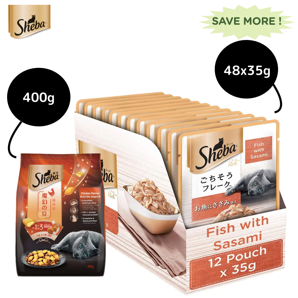 Sheba Fish with Sasami Premium Cat Wet Food and Sheba Chicken Flavour Irresistible All Life Stage Cat Dry Food Combo - Image 2