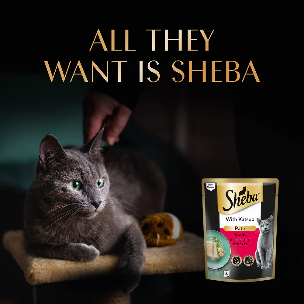 Sheba Katsuo Pate Rich Premium Adult Fine Cat Wet Food - Image 10