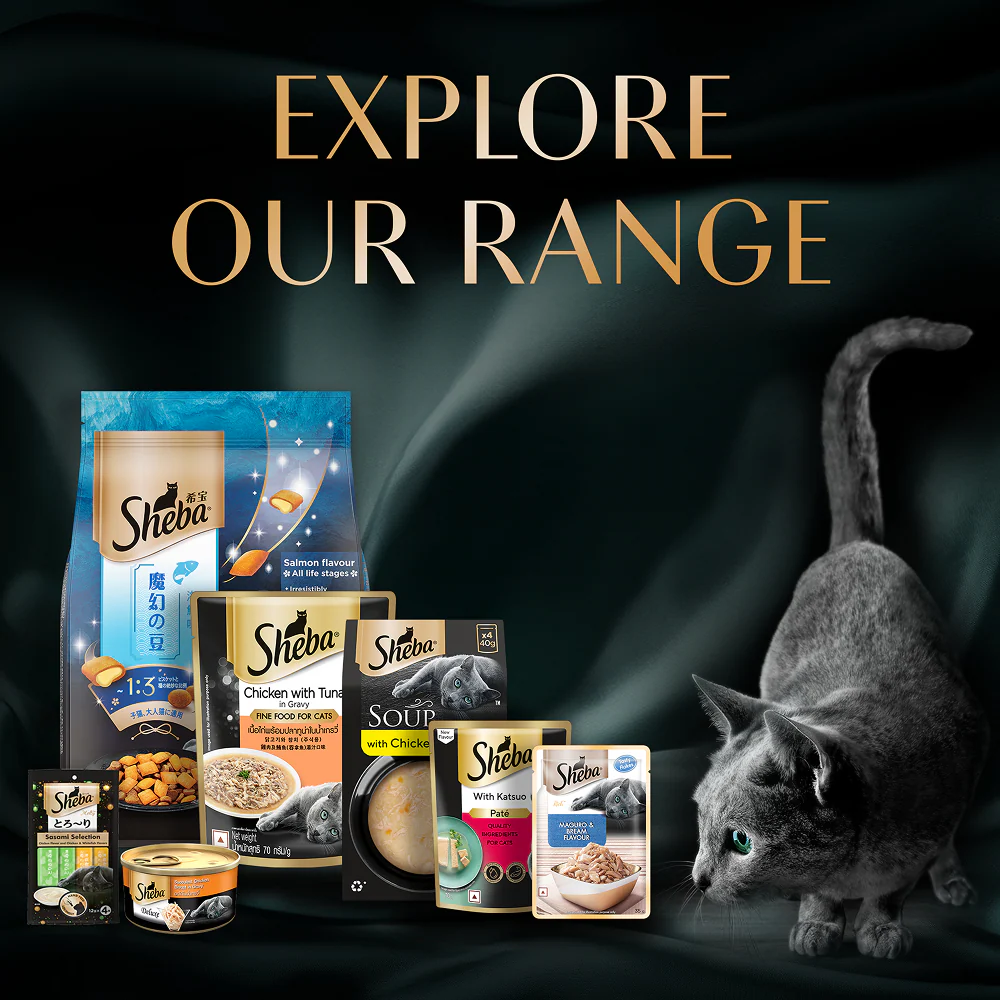 Sheba Katsuo Pate Rich Premium Adult Fine Cat Wet Food - Image 11