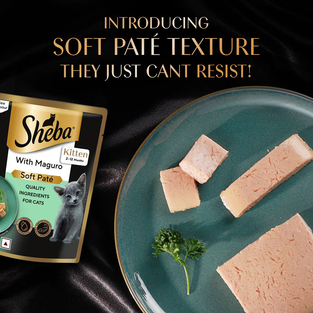 Sheba Maguro Pate Rich Premium Kitten Cat Wet Food - Image 2