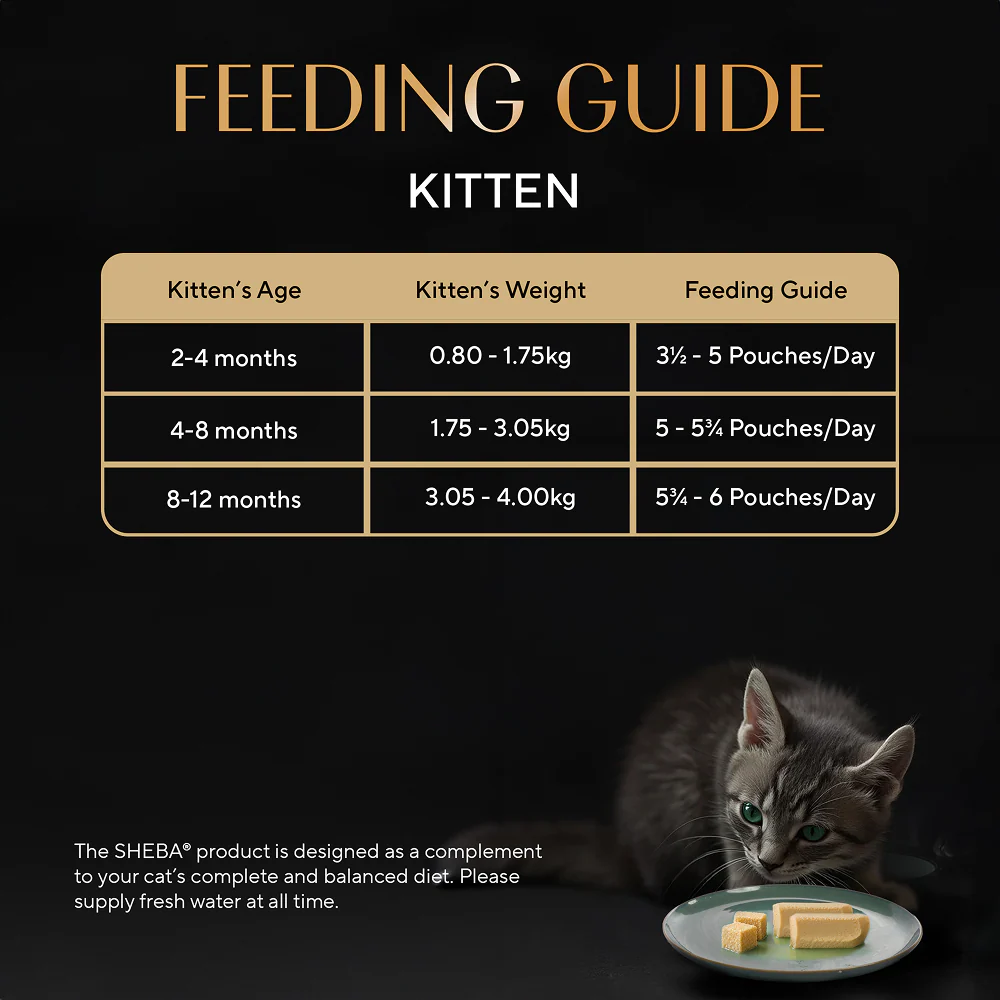 Sheba Maguro Pate Rich Premium Kitten Cat Wet Food - Image 7