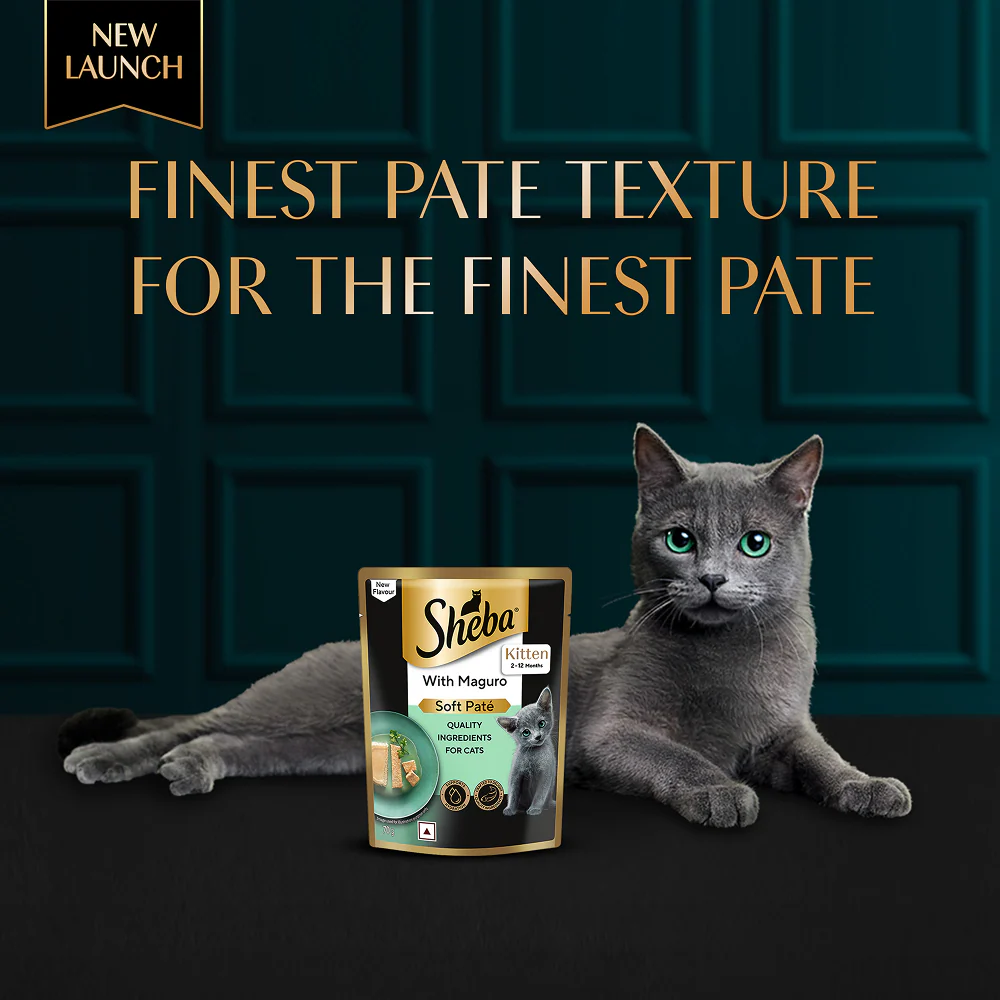 Sheba Maguro Pate Rich Premium Kitten Cat Wet Food - Image 8