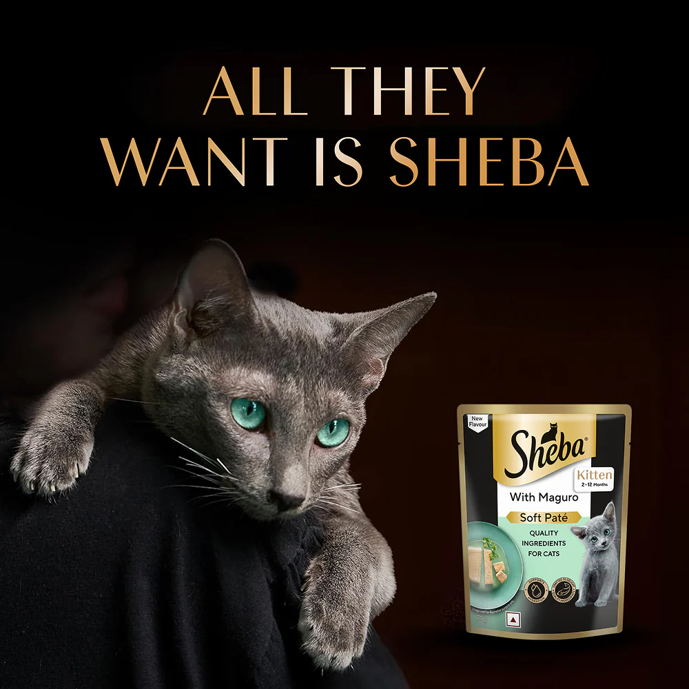 Sheba Maguro Pate Rich Premium Kitten Cat Wet Food - Image 9