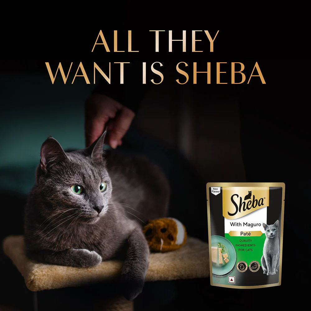 Sheba Maguro Pate Rich Premium Adult Fine Cat Wet Food - Image 11