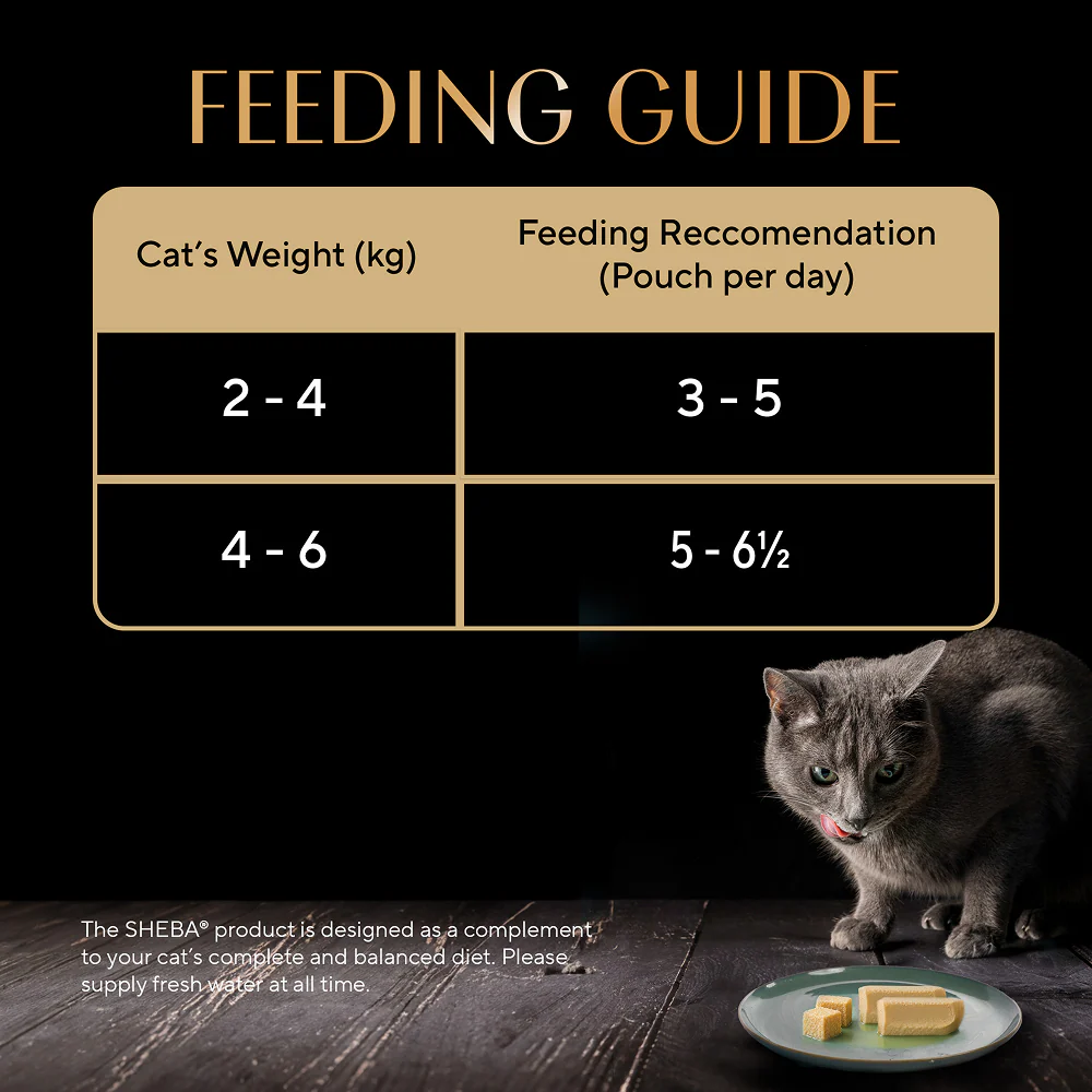Sheba Maguro Pate Rich Premium Adult Fine Cat Wet Food - Image 12