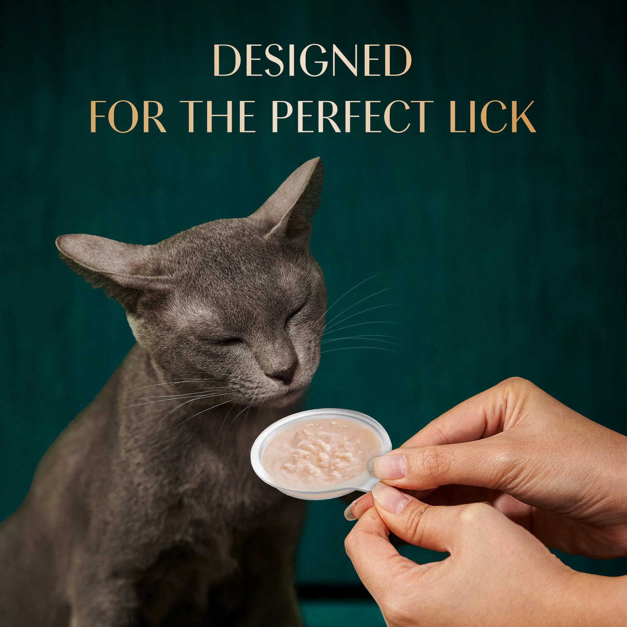 Sheba Melty Spoons Creamy Chicken & Chicken Shred Lickable Creamy Cat Treats - Image 12