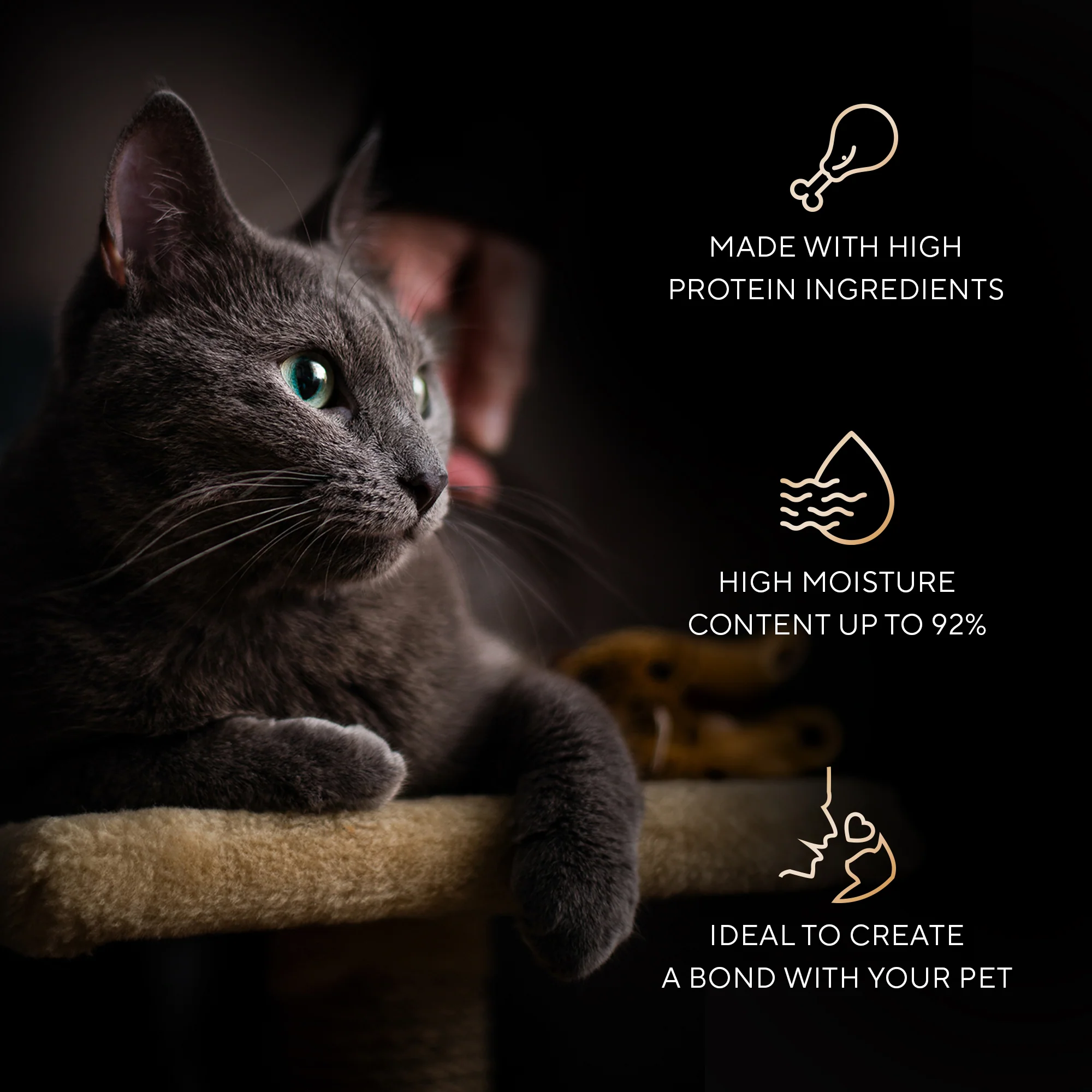 Sheba Melty Spoons Creamy Chicken & Chicken Shred Lickable Creamy Cat Treats - Image 2