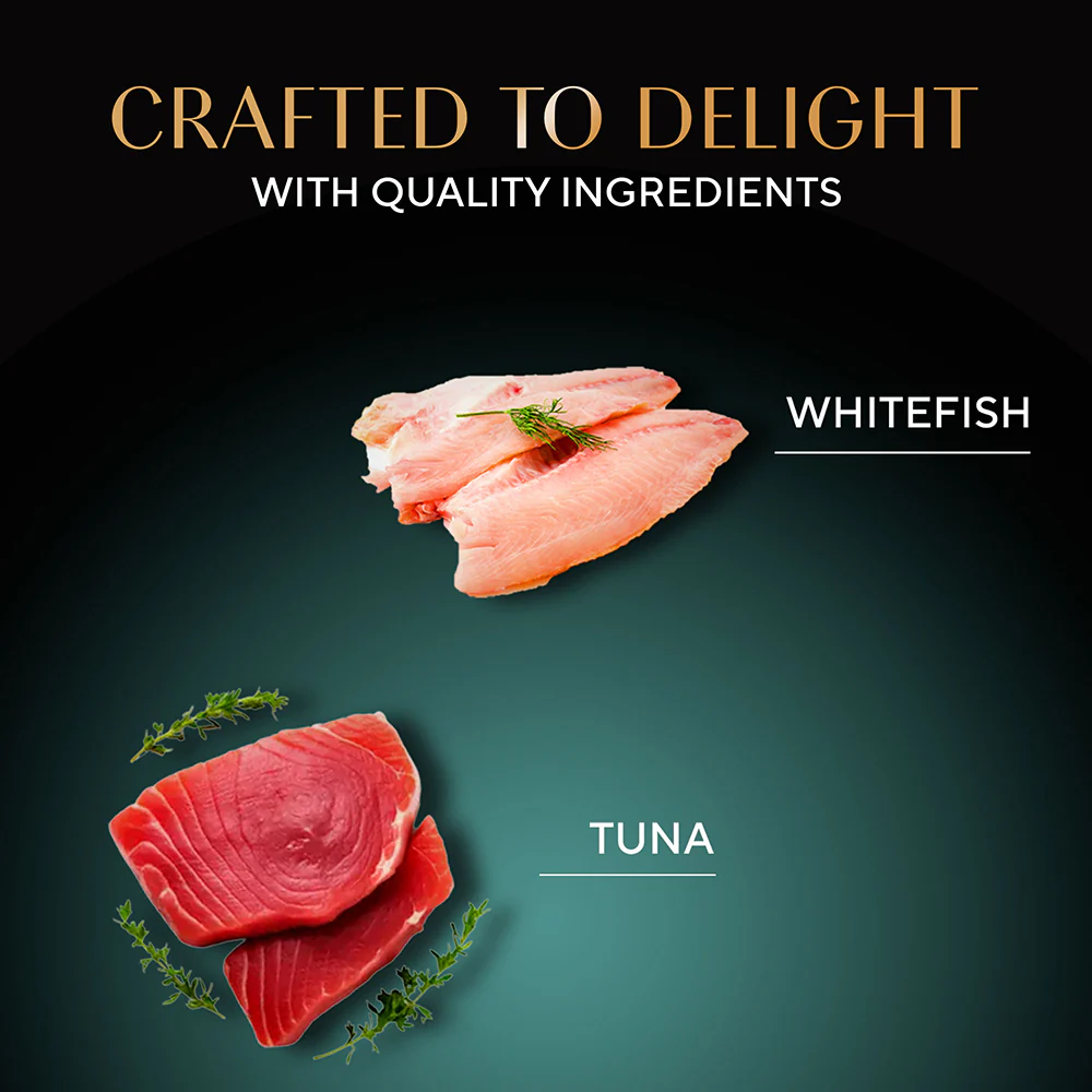 Sheba Pure Tuna Filets in Jelly Premium Cat Wet Food - Image 5