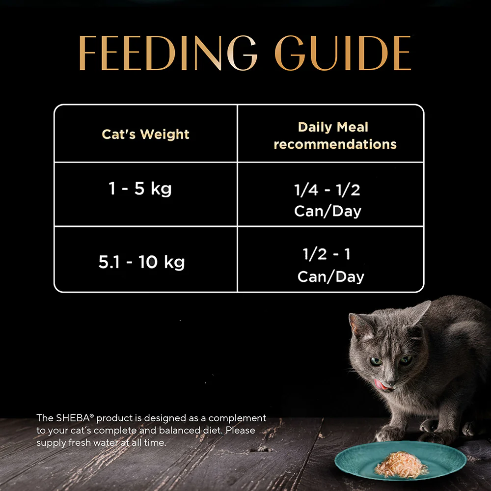 Sheba Pure Tuna Filets in Jelly Premium Cat Wet Food - Image 8