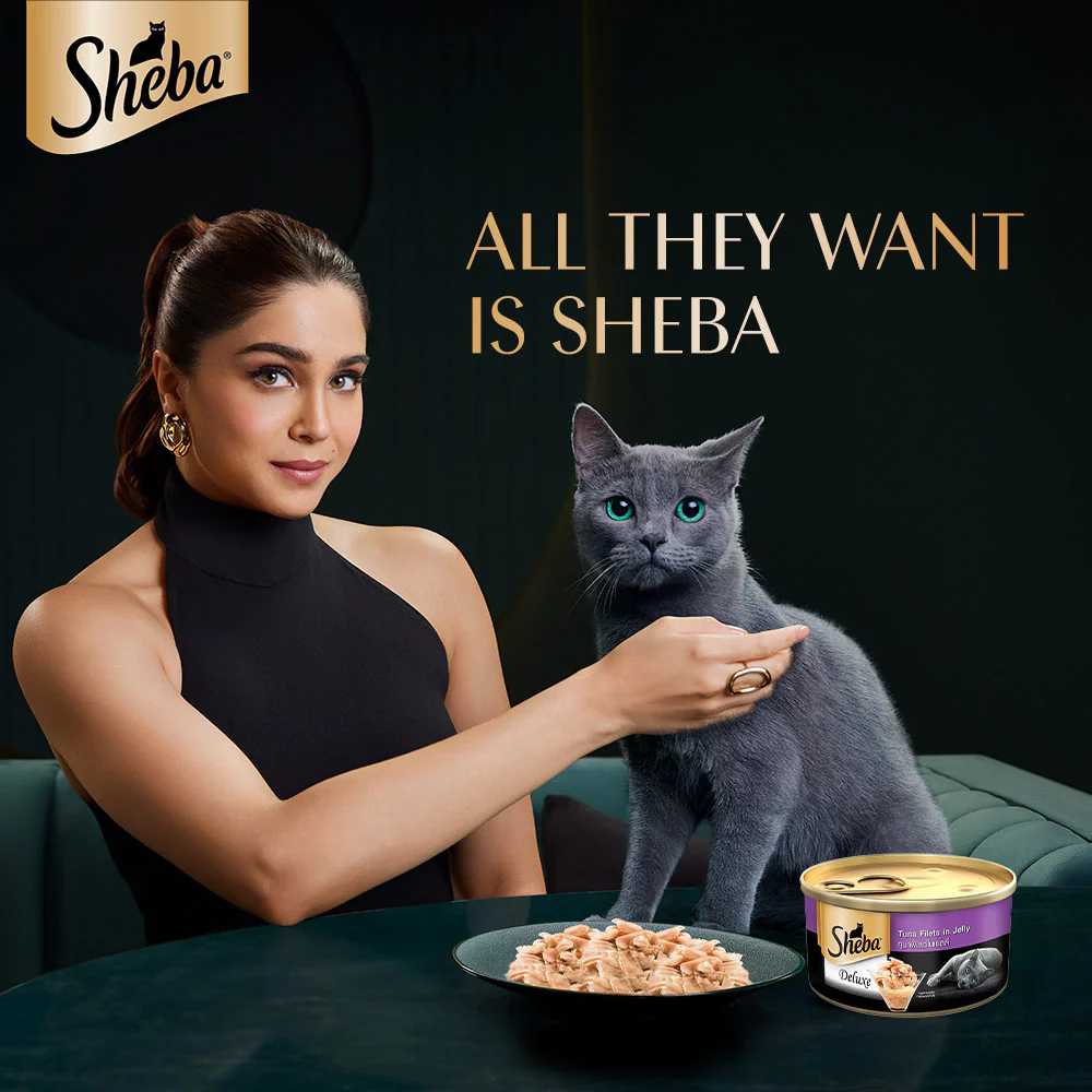 Sheba Pure Tuna Filets in Jelly Premium Cat Wet Food - Image 9