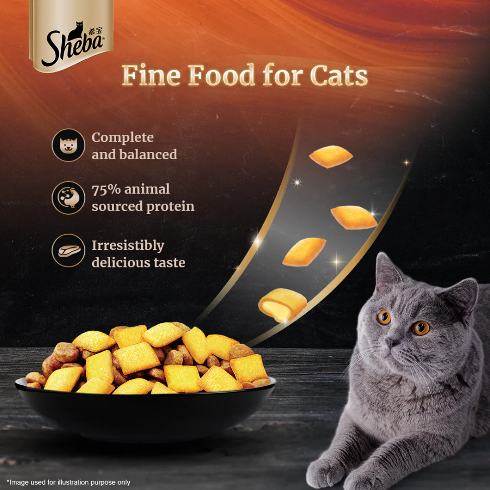 Sheba Salmon Flavour and Chicken Flavour Irresistible All Life Stage Cat Dry Food Combo (Limited Shelf Life) - Image 12