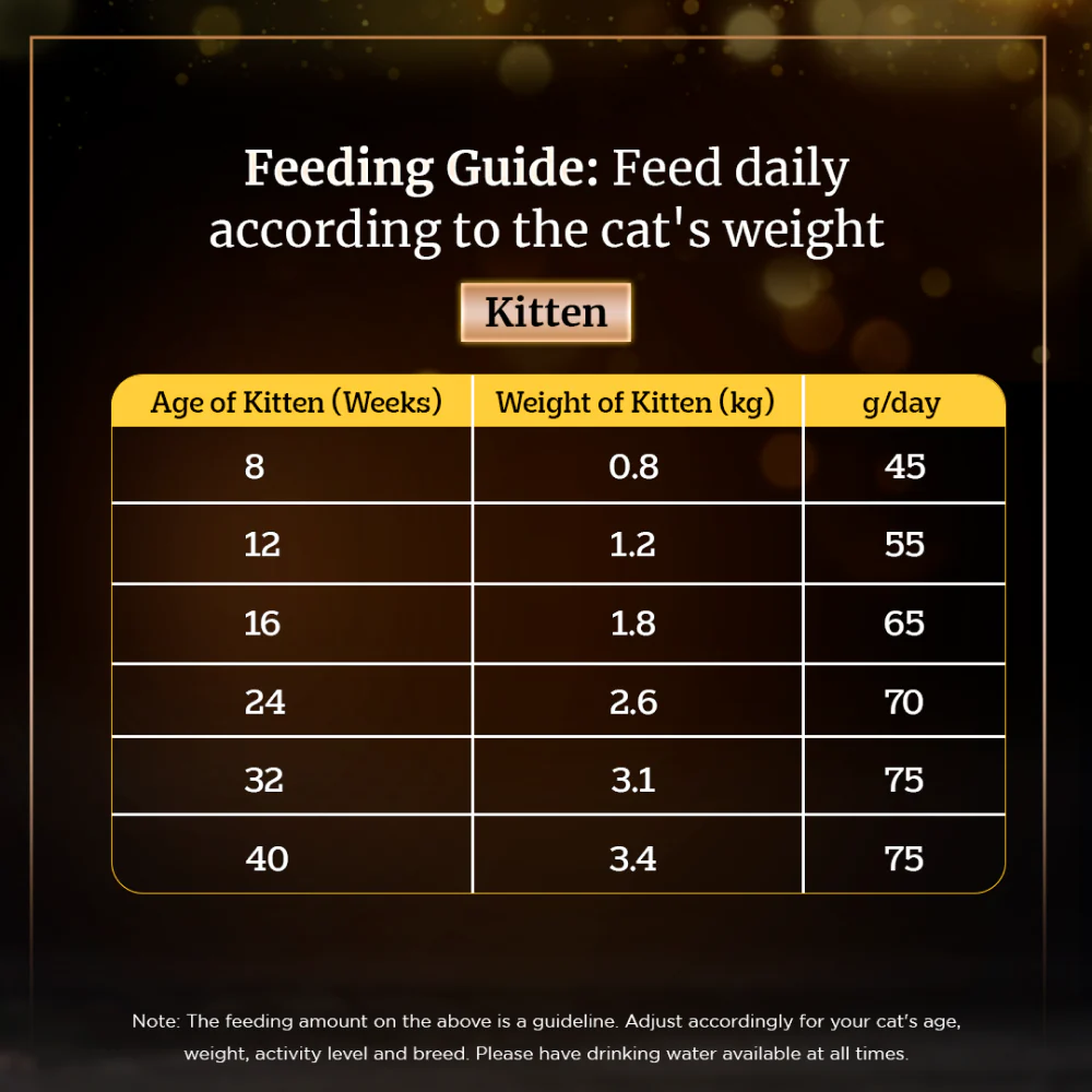Sheba Salmon Flavour and Chicken Flavour Irresistible All Life Stage Cat Dry Food Combo (Limited Shelf Life) - Image 15