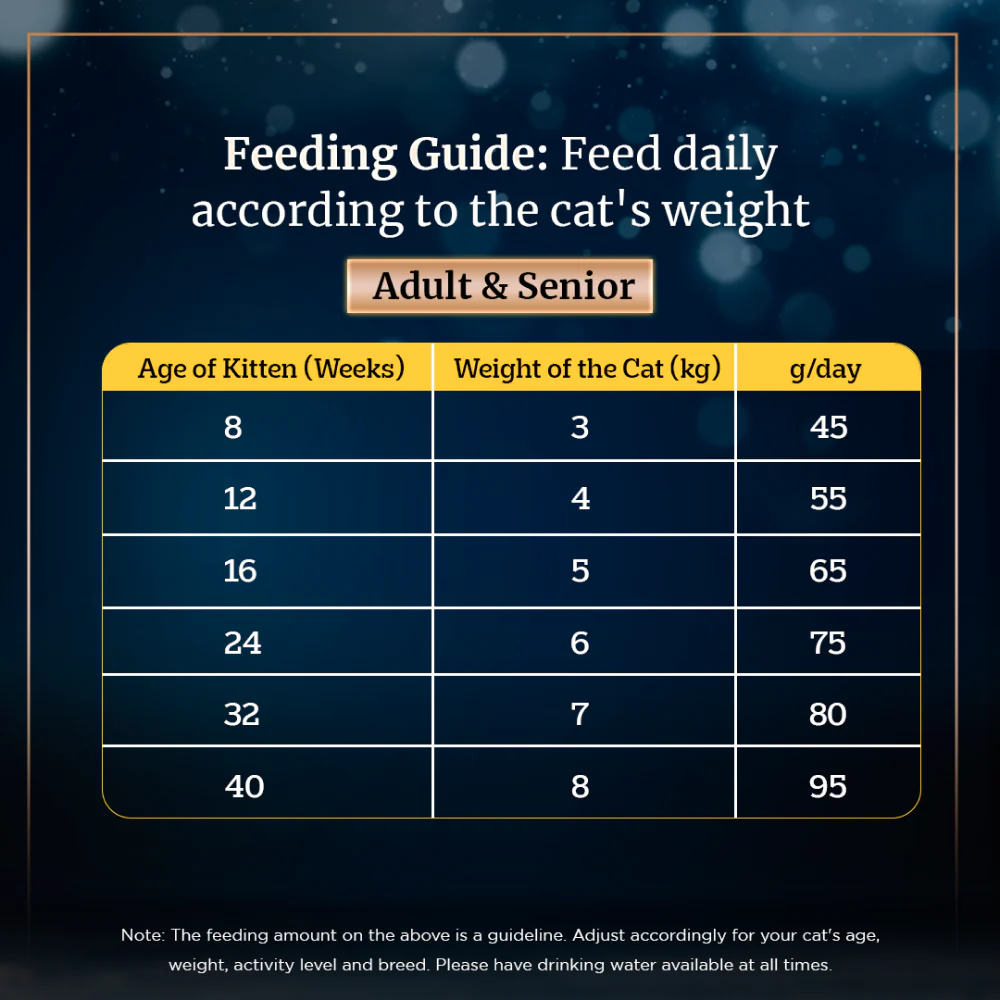 Sheba Salmon Flavour Irresistible All Life Stages Cat Dry Food - Image 8