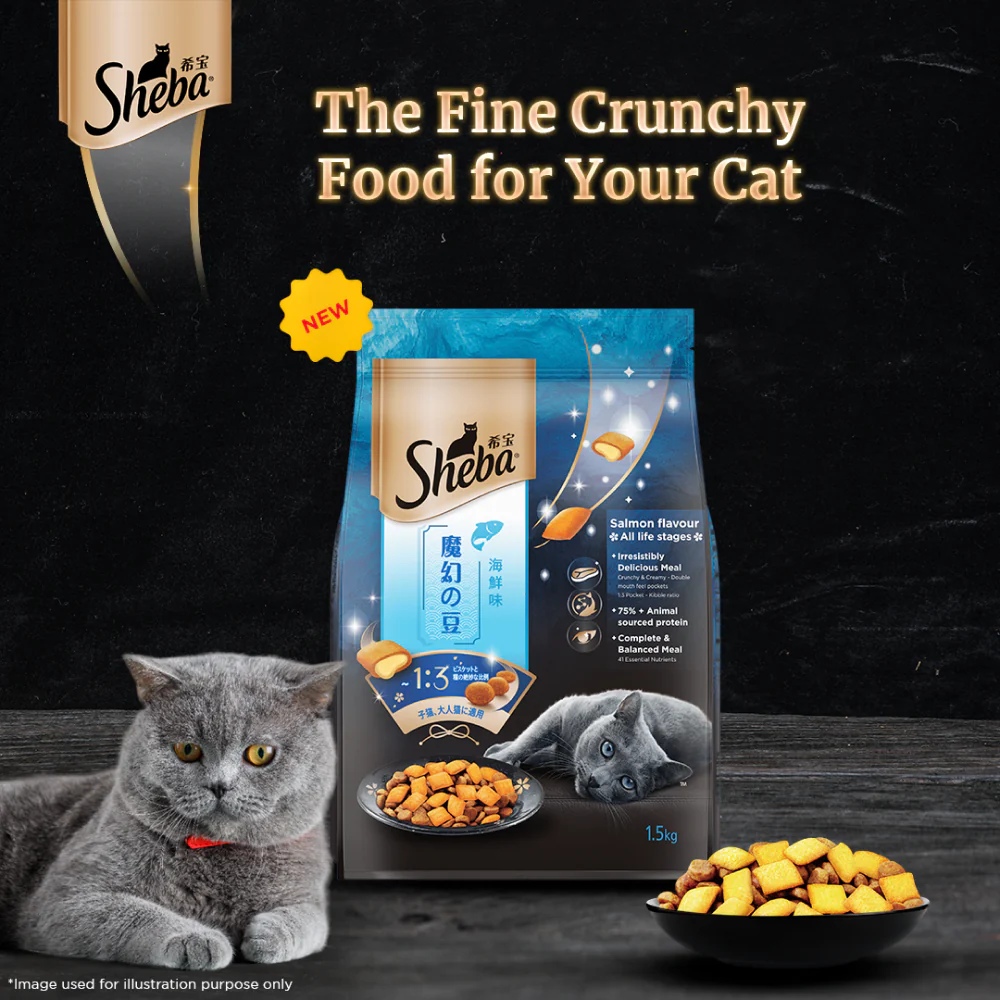 Sheba Salmon Flavour Irresistible All Life Stages Cat Dry Food - Image 9