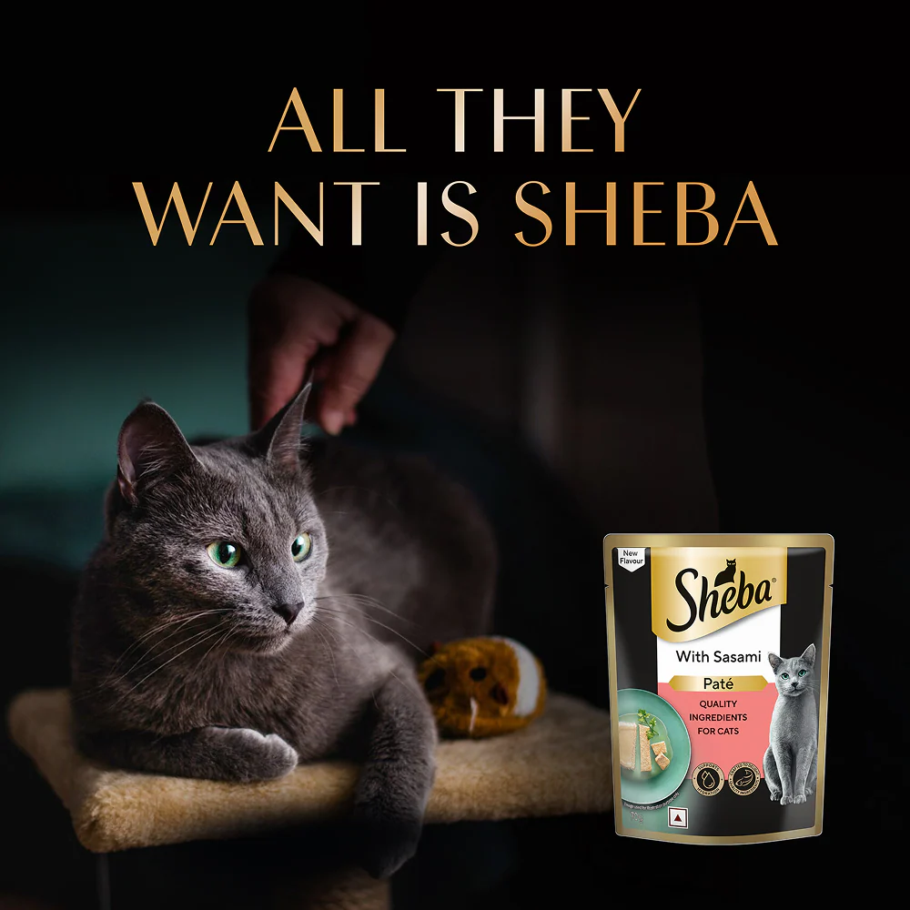 Sheba Sasami Pate Rich Premium Adult Fine Cat Wet Food - Image 10