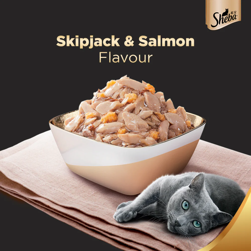 Sheba Skipjack & Salmon Fish, Maguro & Bream and Fish with Sasami Flake Premium Cat Wet Food Combo - Image 14