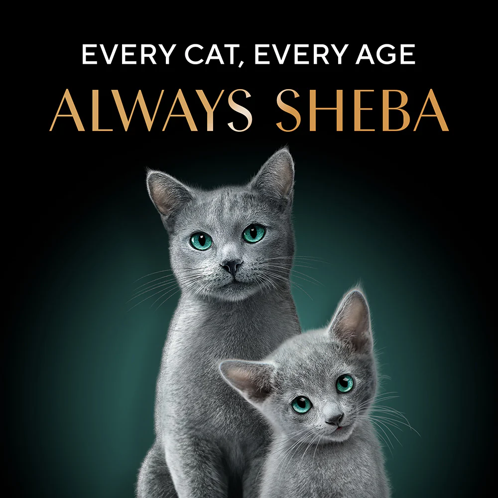Sheba Skipjack & Salmon Fish Mix Cat Wet Food - Image 8
