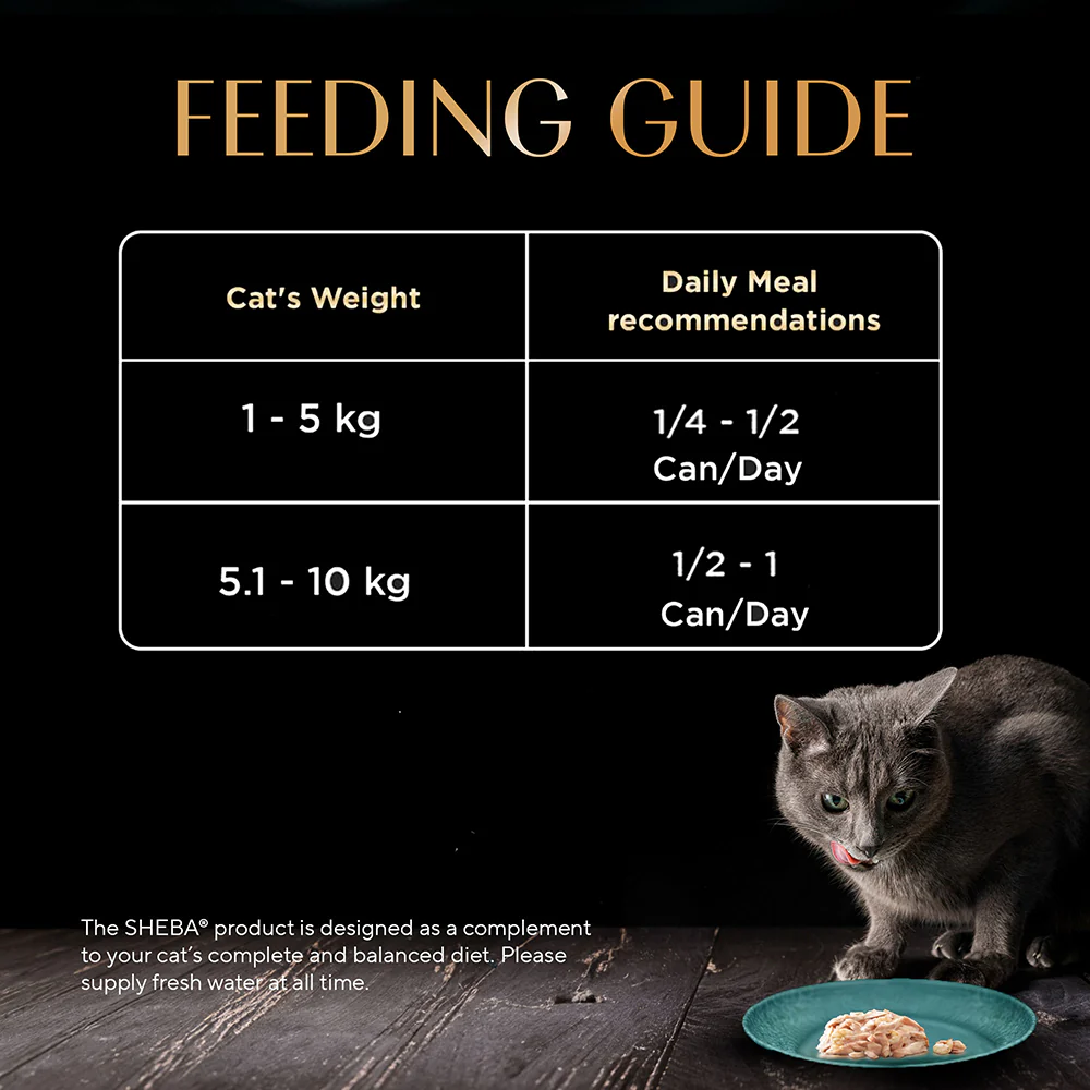 Sheba Tuna Fillet & Whole Prawns in Gravy Premium Cat Wet Food - Image 10