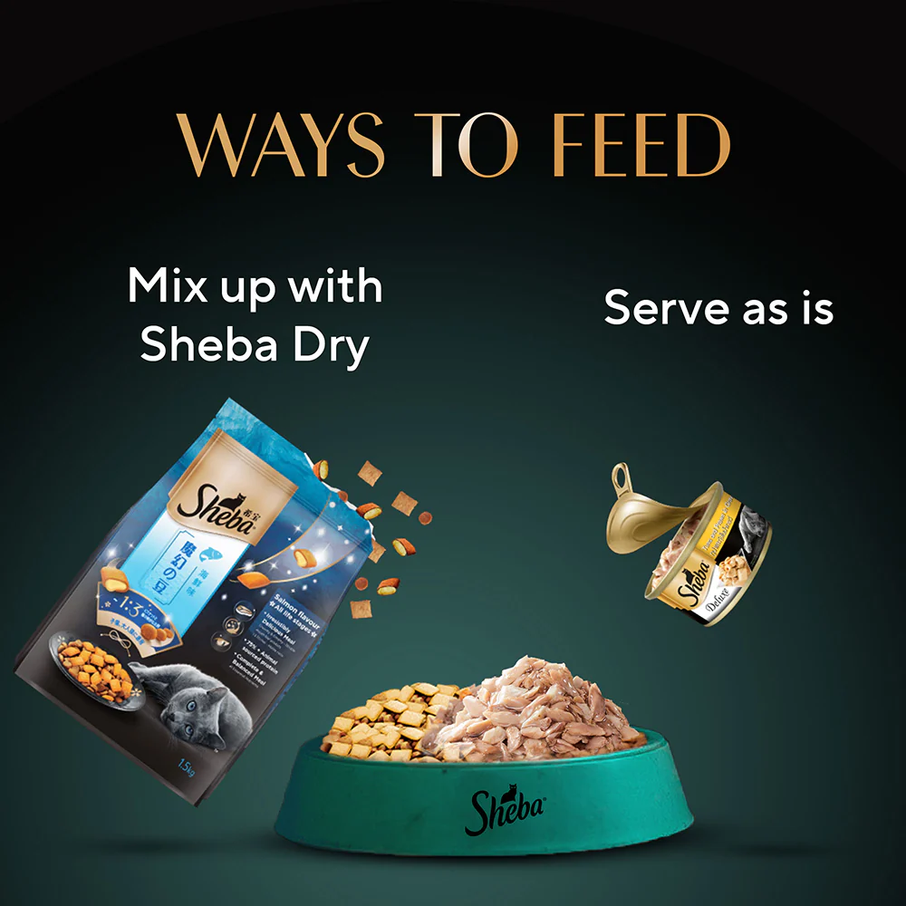 Sheba Tuna Fillet & Whole Prawns in Gravy Premium Cat Wet Food - Image 11