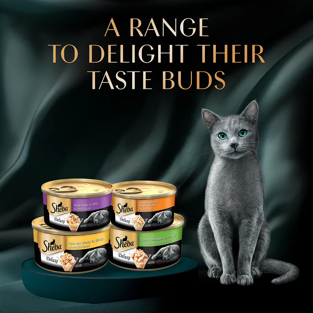 Sheba Tuna Fillet & Whole Prawns in Gravy Premium Cat Wet Food - Image 13