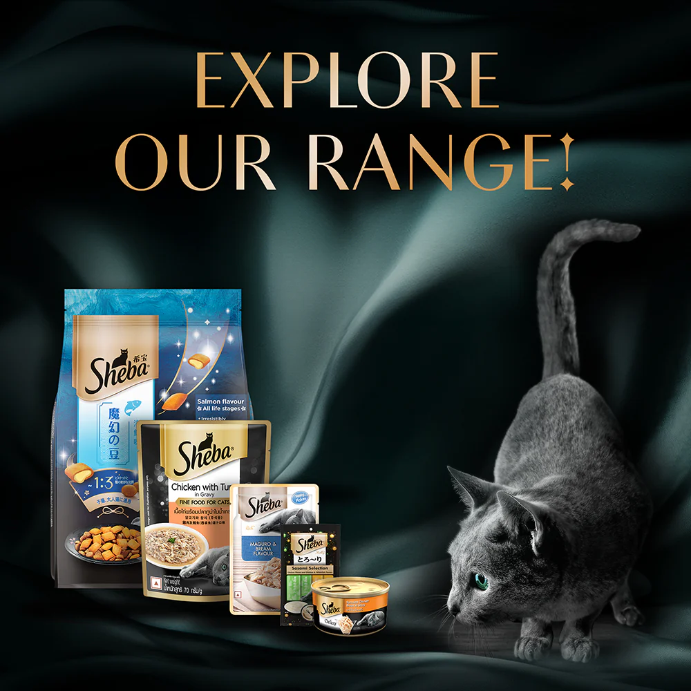 Sheba Tuna Fillet & Whole Prawns in Gravy Premium Cat Wet Food - Image 14