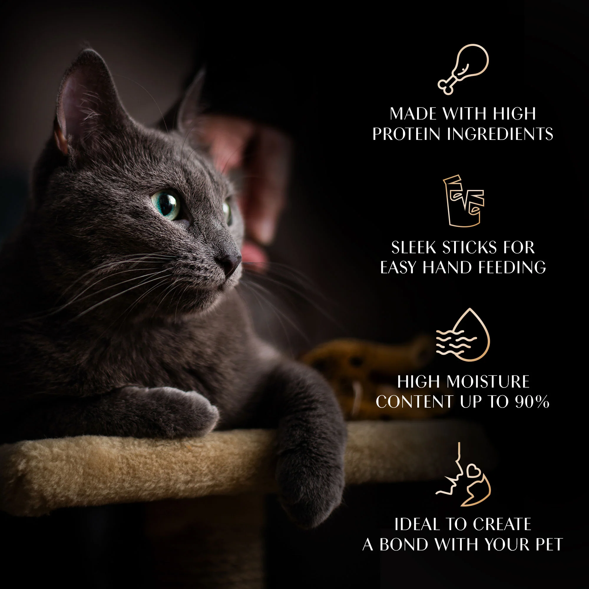 Sheba Tuna Flavor and Tuna & Prawn Maguro Selection Melty Premium Cat Treats - Image 2