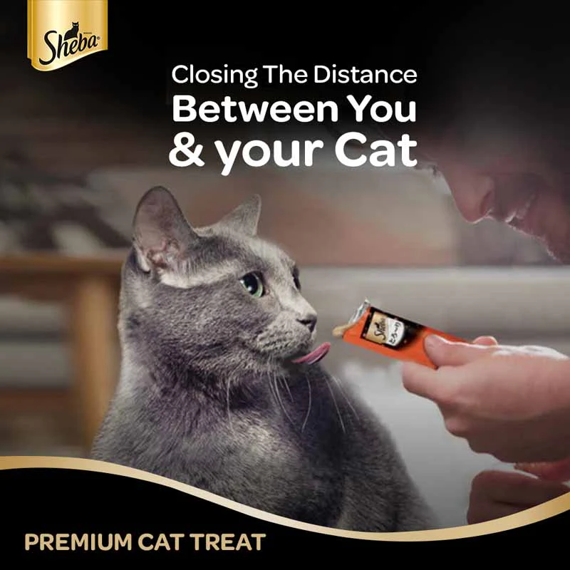 Sheba Tuna Flavor and Tuna & Prawn Maguro Selection Melty Premium Cat Treats - Image 22