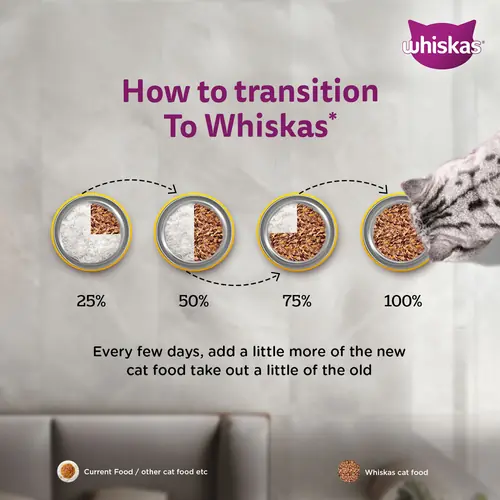 Sheba Tuna Pumpkin & Carrot In Gravy and Whiskas Tuna in Jelly Cat Wet Food Combo - Image 16