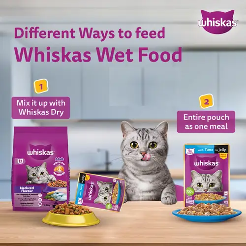 Sheba Tuna Pumpkin & Carrot In Gravy and Whiskas Tuna in Jelly Cat Wet Food Combo - Image 25