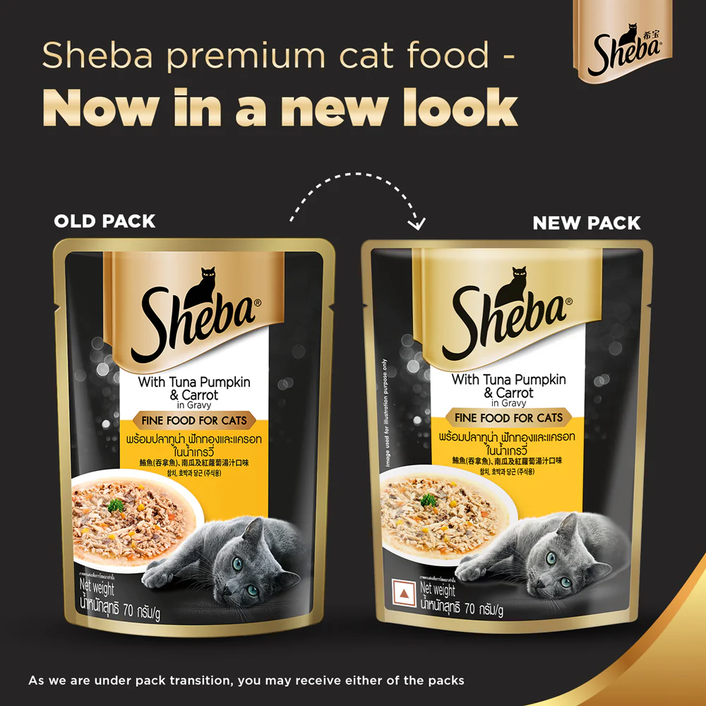 Sheba Tuna Pumpkin & Carrot In Gravy Rich Premium Adult Fine Cat Wet Food and Chicken All Life Stage Cat Dry Food Combo - Image 2