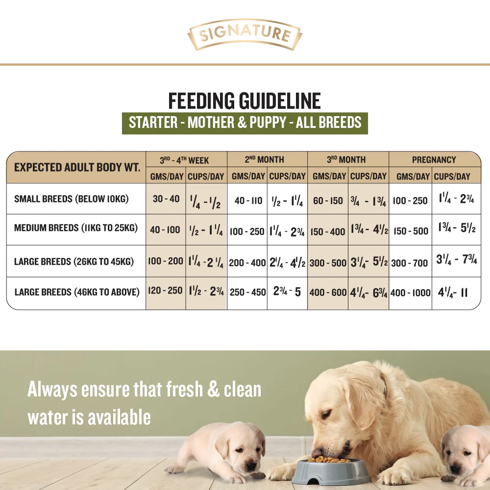 Signature Grain Zero Real Chicken, Egg and Vegetables Mother and Puppy Starter Dog Dry Food - Image 4