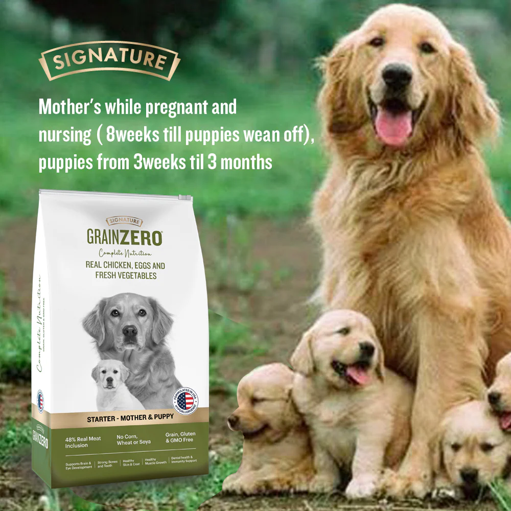 Signature Grain Zero Real Chicken, Egg and Vegetables Mother and Puppy Starter Dog Dry Food - Image 6