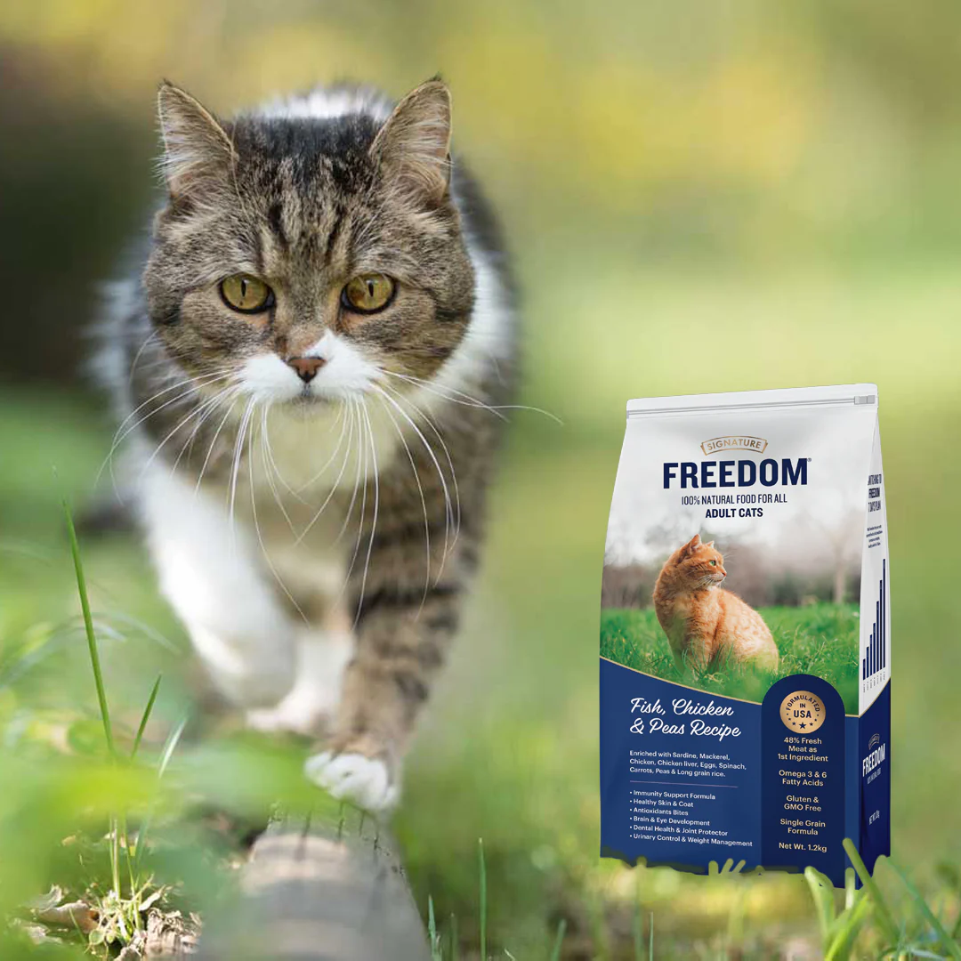 Signature Freedom Fish, Chicken and Peas Recipe Adult Cat Dry Food (50g) - Image 6
