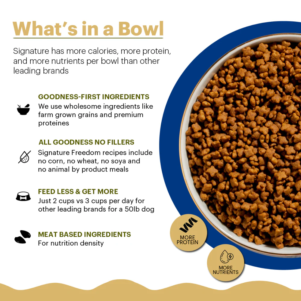 Signature Freedom Fish, Chicken and Peas Recipe Kitten Dry Cat Food - Image 3