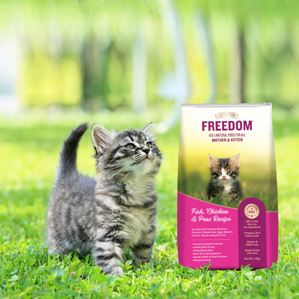 Signature Freedom Fish, Chicken and Peas Recipe Kitten Dry Cat Food - Image 6