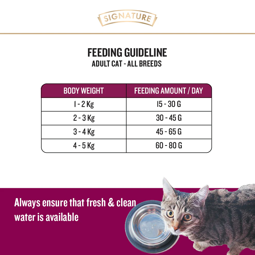 Signature Grain Zero Ocean Fish, Sardine and Mackerel Adult Cat Dry Food and Grain Zero Bonito and Scallop Lickable Creamy Treats for Cats Combo - Image 6
