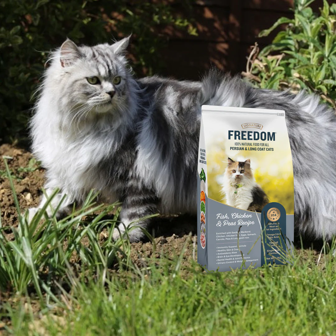 Signature Freedom Fish, Chicken and Peas Recipe Persian Cat Dry Food (50g) - Image 6
