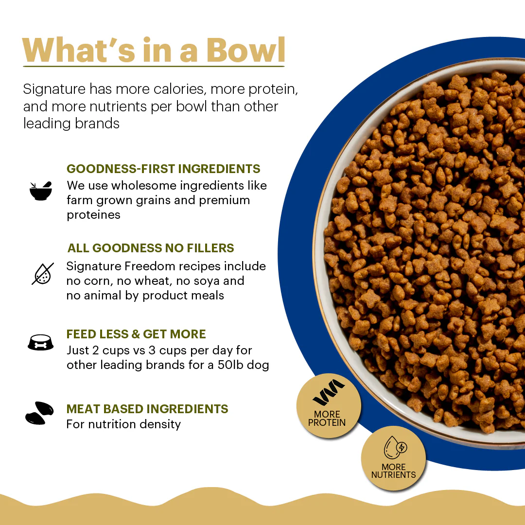 Signature Freedom Fish, Chicken and Peas Recipe Persian Cat Dry Food (50g) - Image 8