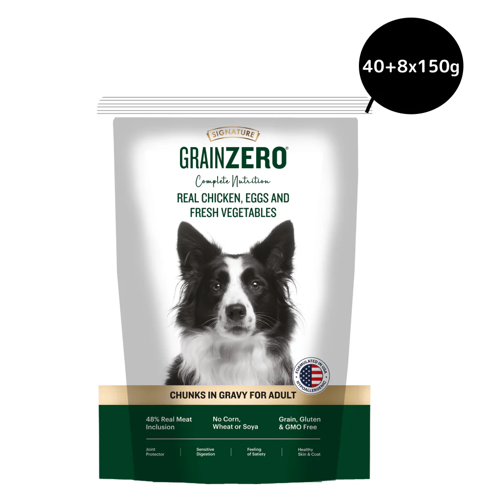 Signature Grain Zero Chicken Chunks Gravy Adult Dog Wet Food - Image 2