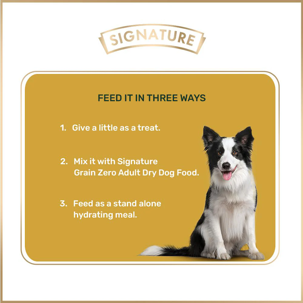 Signature Grain Zero Chicken Chunks Gravy Adult Dog Wet Food - Image 5