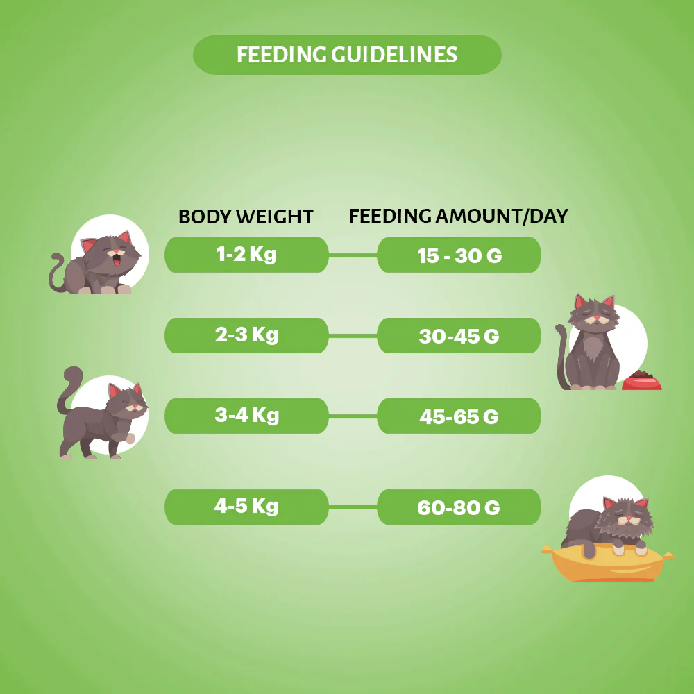 Signature Grain Zero Chicken & Vegetable Adult All Breed Adult Cat Dry Food - Image 2