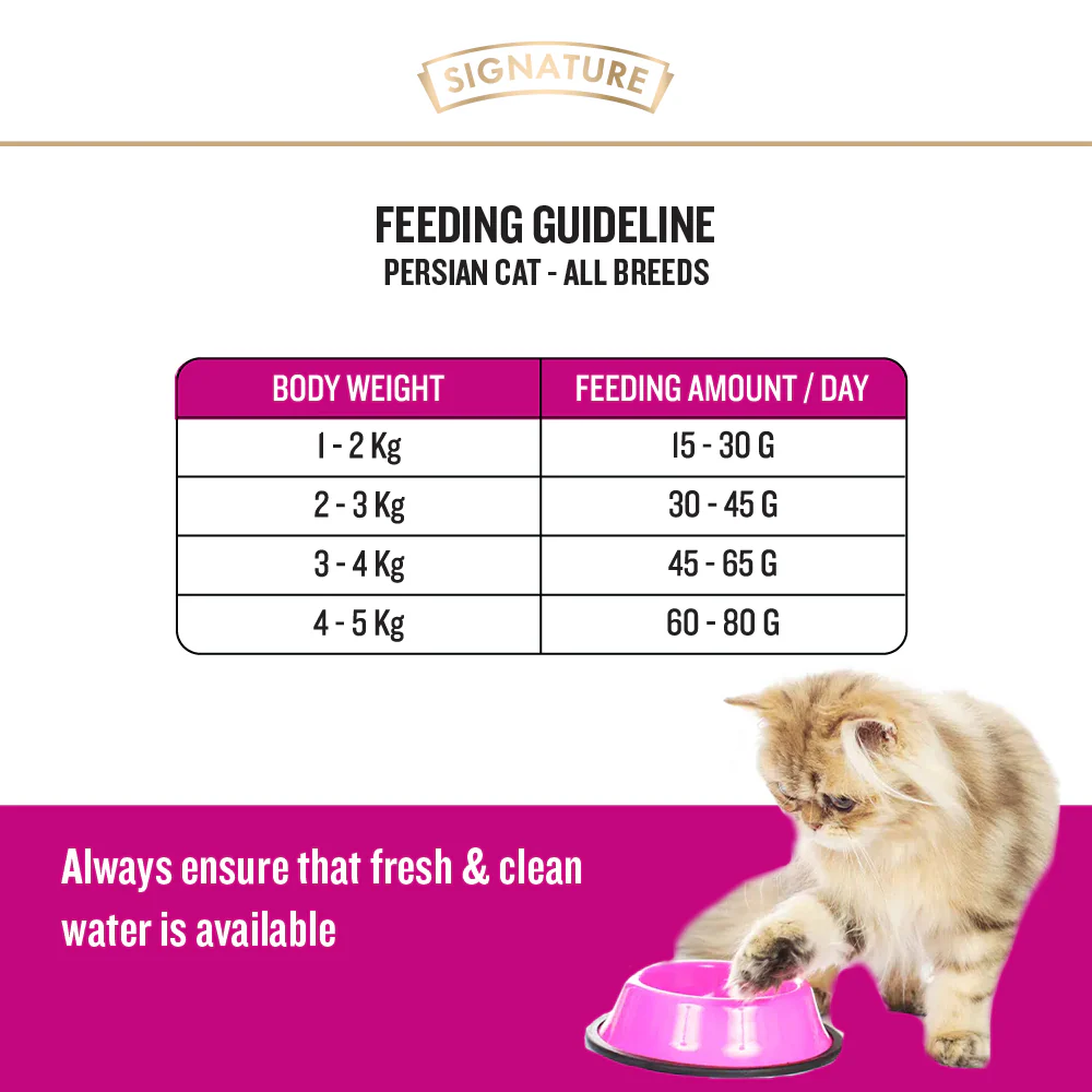 Signature Grain Zero Ocean Fish, Sardine and Mackerel Long Coat & Persian Cat Dry Food and  Grain Zero Tuna and Ocean Fish Lickable Creamy Cat Treats - Image 5