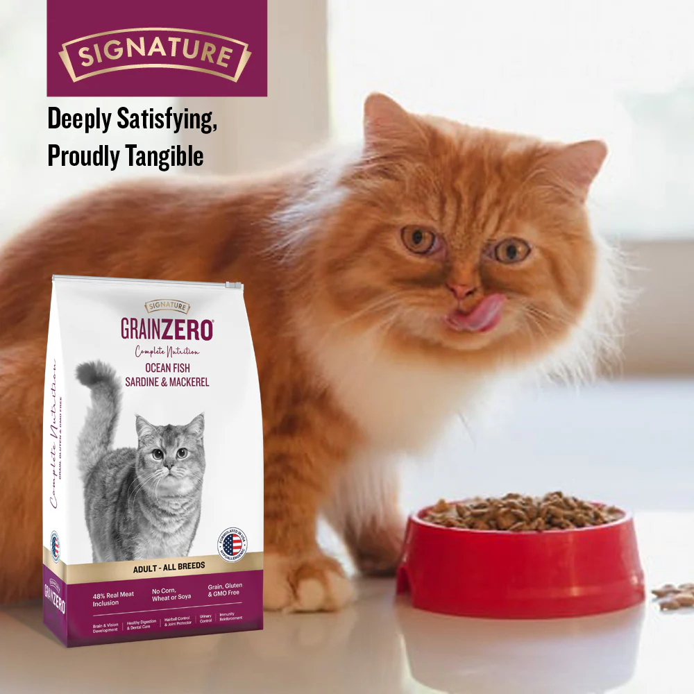 Signature Grain Zero Ocean Fish, Sardine and Mackerel Long Coat & Persian Cat Dry Food and  Grain Zero Tuna and Ocean Fish Lickable Creamy Cat Treats - Image 8